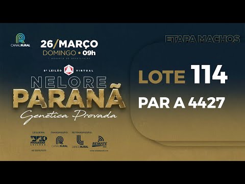 LOTE 114 PAR A4427