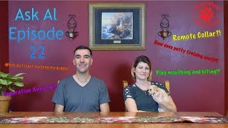 shock collar potty training