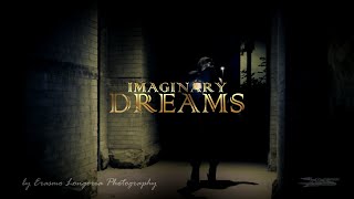 Alan Walker Style -Imaginary Dreams (Cover Song 2021)LMR