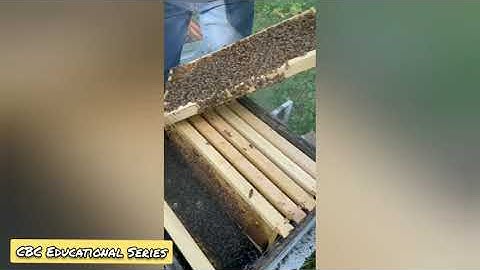 How To Educational Series - Hive Evaluations