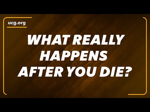 What Really Happens After You Die?