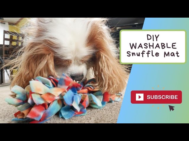 How to make a DIY snuffle mat for under $5! #snufflemat #diydogtoy