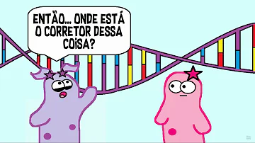 Qual a importância da molécula de DNA nos processos de reprodução transcrição e tradução?