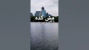 Al Shami Khodni Music Shami Song Khodni الشامي 