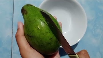 Text Procedure "How To Make Avocado Shake"