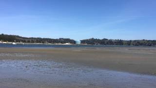 Yaquina Bay Newport Oregon