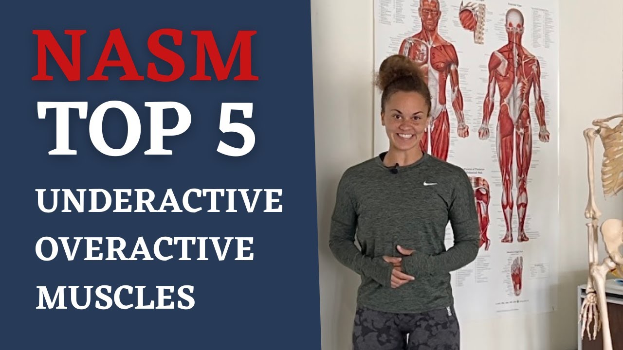 NASM TOP 5 OVERACTIVE & UNDERACTIVE MUSCLES - YouTube