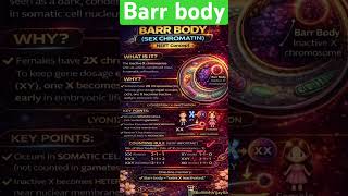 Barr Body: Small Dot, Big NEET Question 💯