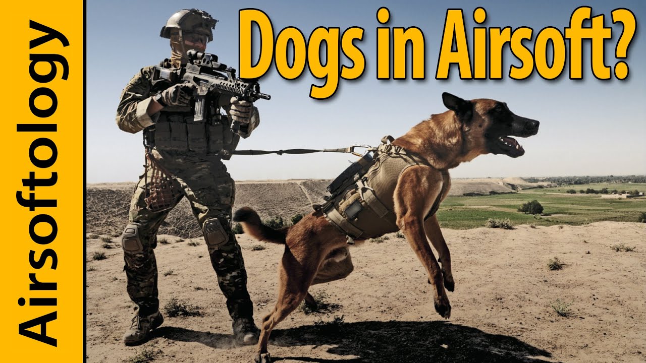 Dogs in Airsoft, Airsoft Fraternity Houses and Beard Bannings