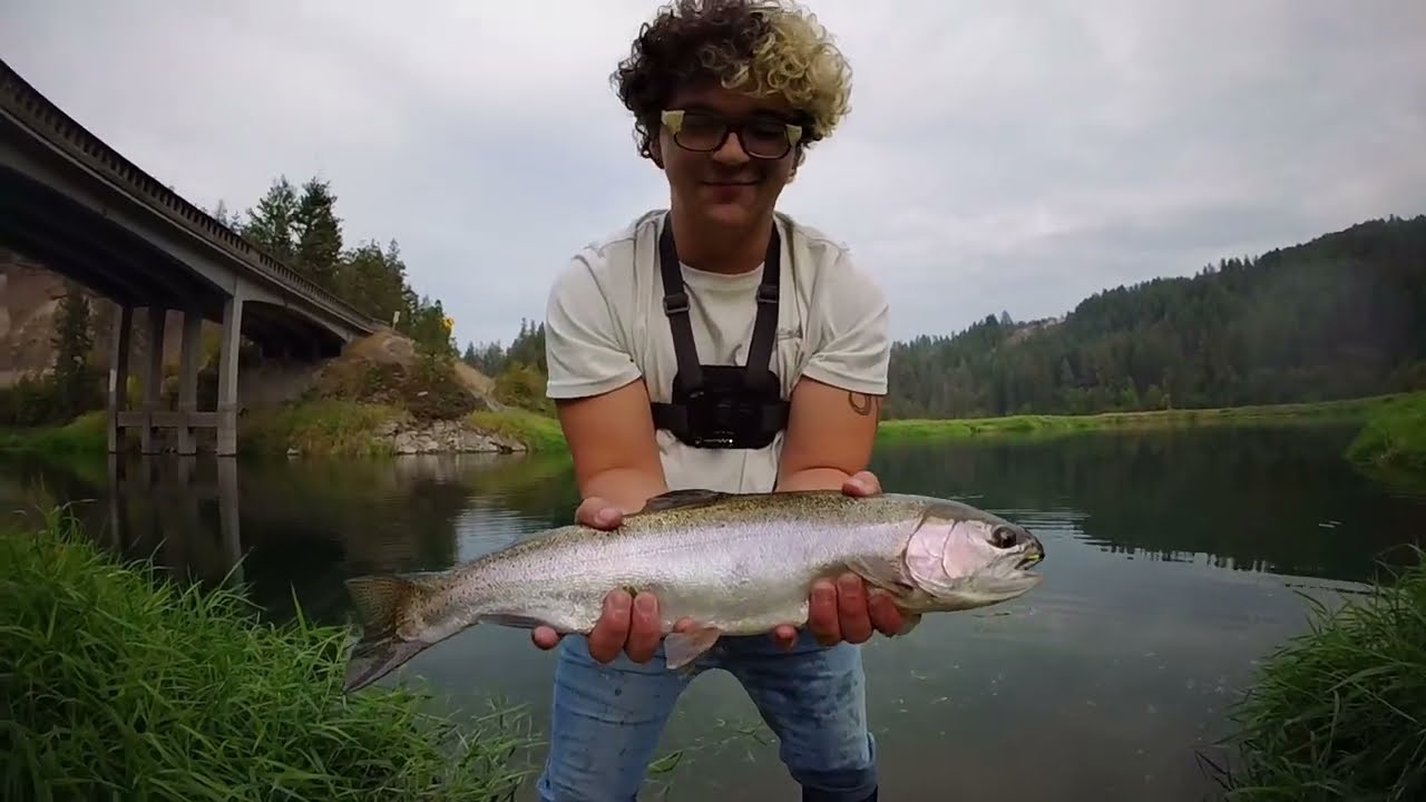 Fly fishing at river off the side of the road // Catching a monster