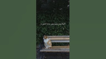 {ٱلۡأَخِلَّآءُ يوۡمَئِذِۭ بَعضُهُم لِبَعضٍ عدُوٌّ إِلَّا ٱلۡمُتَّقينَ} #قرآن #اكسبلور #تلاوة_خاشعة