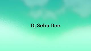 Dj Seba dee - Slo fešta mix 2025