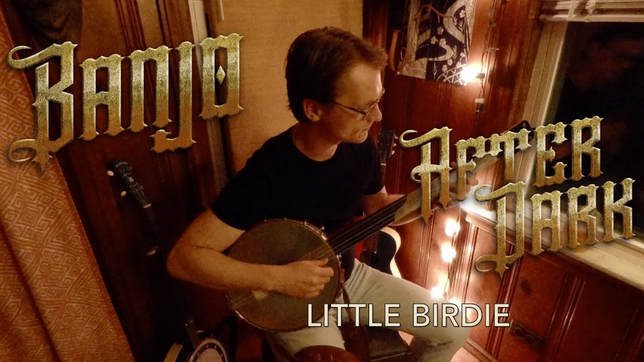 Little Birdie Paired with a Summer Tanager (Banjo After Dark) YouTube