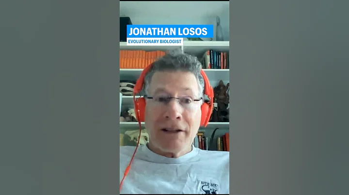 Toxoplasmosis: The Mind Control Parasite From Our Cats