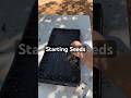 Getting My Seedling Trays Ready Big Garden Plans Coming Soon