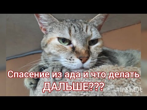 Спасение из ада и что делать ДАЛЬШЕ???