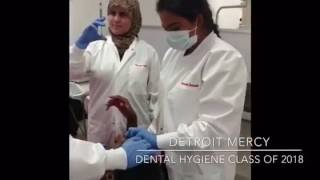 University of Detroit Mercy DH Class of 2018 - Mannequin Challenge!