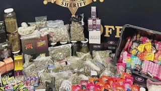 Famous Lea County officials arrest alleged magic mushroom dealer during drug bust Profile