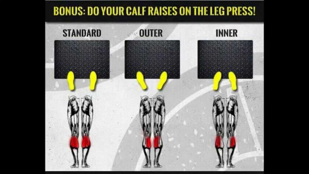 Ejercicios prensa para gluteos