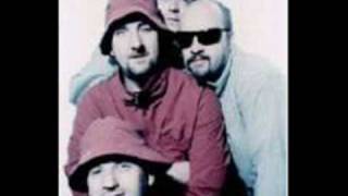 The Shirehorses - Now I Know Where Im Going Our Kid