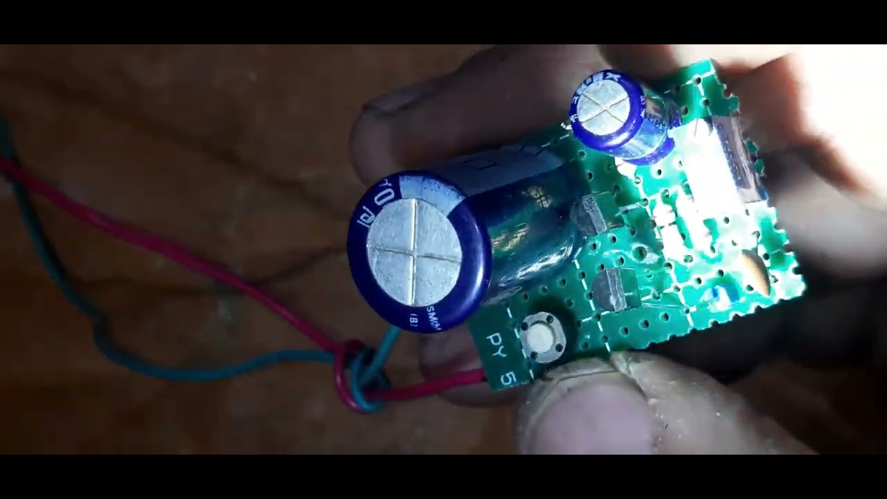 BIRD SOUND EFFECT                 (птичье пение)