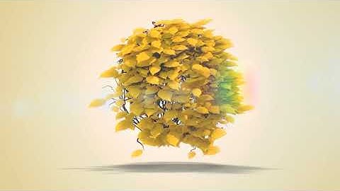 FLYING LEAVES LOGO REVEAL free downloadAdobe After Effect templete