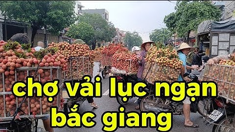 Toàn cảnh phiên chợ vải thiều tại lục ngạn bắc giang