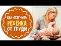 Как отлучить ребенка от груди: 7 советов для мам