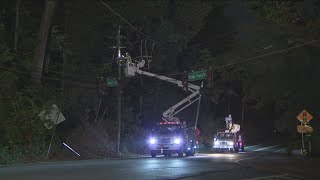 Downed tree takes out power in DeKalb County