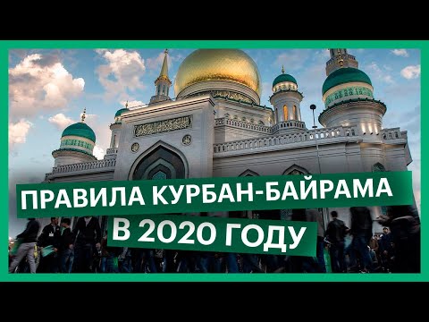 Видео: Напоминание австралийцам: приближается национальный день поездки на работу! - Сеть Матадор