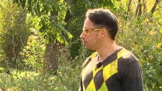 видео: Сорняки. Загородные премудрости. Выпуск 29 картинка: Сорняки. Загородные премудрости. Выпуск 29