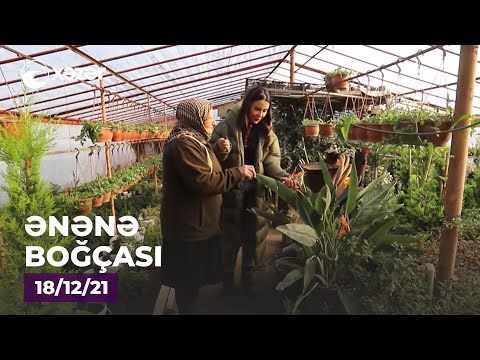 Ənənə Boğçası - (Lənkəran)  18.12.2021