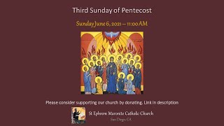 Third Sunday of Pentecost Divine Liturgy  - June 6, 2021 - 11:00 AM