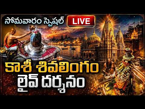 KASHI LIVE : సోమవారం కాశీ శివ లింగం స్పెషల్  లైవ్ దర్శనం | Kashi Shiva Lingam Live Darshanam
