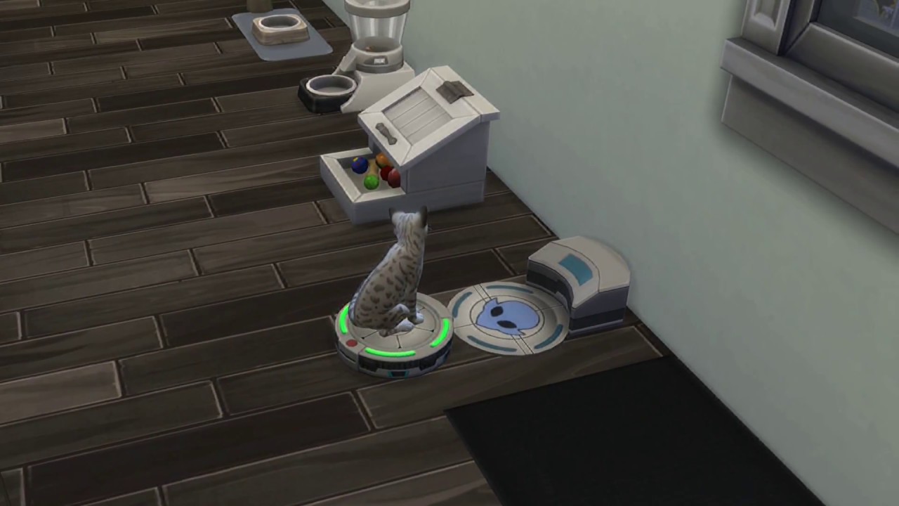 Life - The Sims™] riding a robot vacuum - Cats and Dogs EP - YouTube