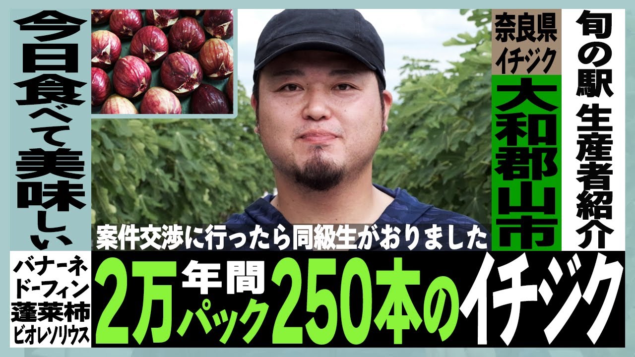 【生産者紹介】奈良県大和郡山市　西本農園　いちじく