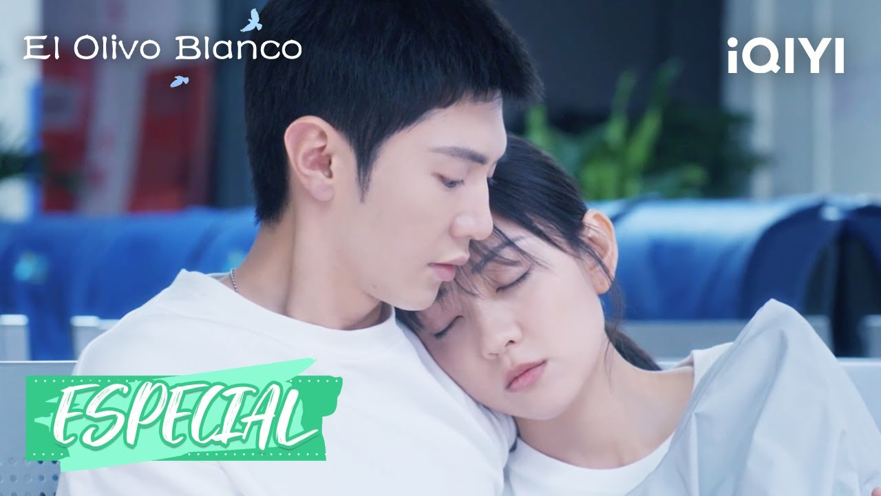 Li Zan está luchando para dejar Song Ran | El Olivo Blanco22-24 | iQIYI Spanish