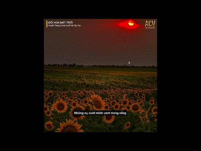 ĐỒI HOA MẶT TRỜI (Lofi Ver) - Huyền Trang Lux Cover x VUX | Giữa Mênh Mông Hoa Mặt Trời... class=