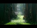 Jeremy soule skyrim  all the trees of tamriel 3 hr extension