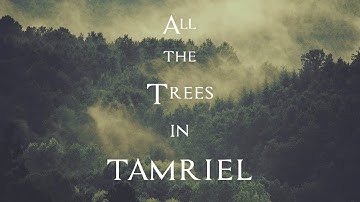 Jeremy Soule (Skyrim) — All the Trees of Tamriel [3 Hr. Extension]