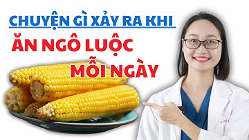 Chuyện Gì Xảy Ra Khi Ăn Ngô Luộc Mỗi Ngày | Dược Sĩ Lan