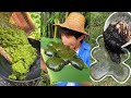 A cake made of duckweed| Chinese Mountain Forest Life And Food #MoTiktok #Fyp