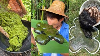 A Cake Made Of Duckweed Chinese Mountain Forest Life And Food