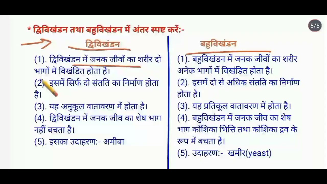 Different Between Of Binary Fission And Multiple Fission different between of binary fission and multiple fission