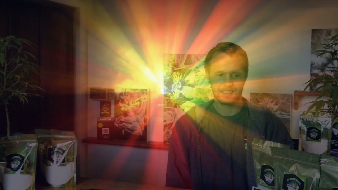 LET'S GO TO VEGAS! sweepstakes ends 1/13/22!--enter to win at www.cvgrownfarmz.com