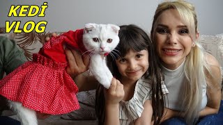 Prenses Lina'nın Kedi sine Bayramlık Elbise Aldık Veteriner e Götürüp Aşı Yaptırdık Rukiye Çetinkaya