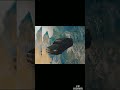SMOOTH VIBES #shortvideo #viralvideo #viralshorts