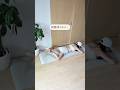 もも裏・お尻に効いて 下半身スッキリ #宅トレ #ダイエット #脚痩せ #ヒップアップ #下半身痩せ