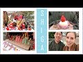 LET S EXPLORE SHIGA 笙ヲ Art Crazy Sagichou Festival Festival Food LET S EXPLORE SHIGA 笙ヲ Art Crazy Sagichou Festival Festival Food