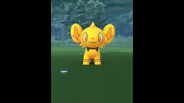 SHINY SHINX  CAUGHT IN POKÉMON GO!
